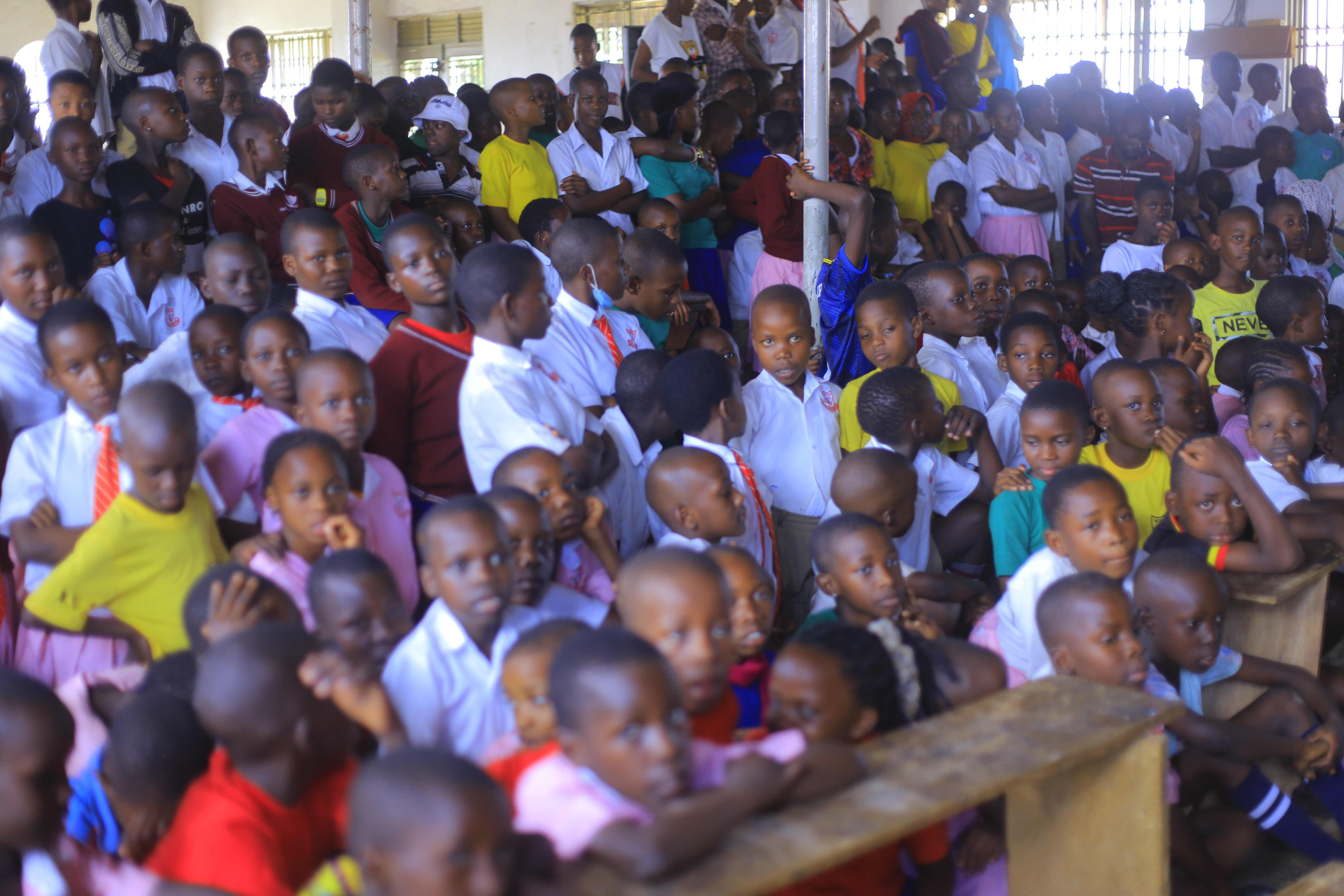 Education & Digital Literacy